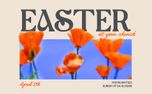 Easter New life Flowers (156841)