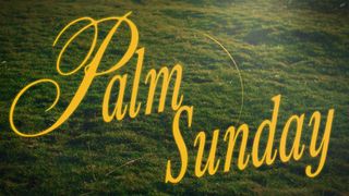 Heaven and Earth : Palm 2