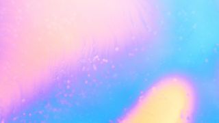 It's Spring : Loop 5