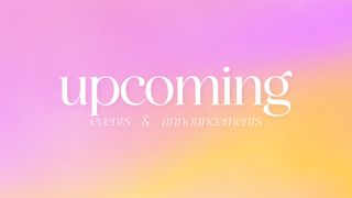 It's Spring : Upcoming