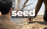 Seed (The Work Of Easter) (156958)