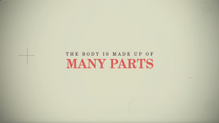 The Body - The Church's Role