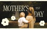Mother's Day Bundle (157338)