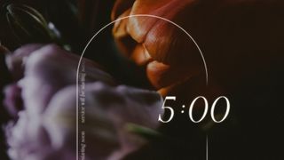 Beauty and Strength : Countdow