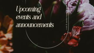 Beauty and Strength : Upcoming