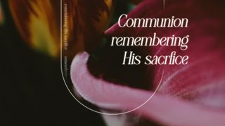 Beauty and Strength : Communio