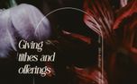 Beauty and Strength : Giving (157831)