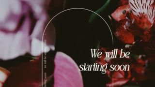 Beauty and Strength : Starting