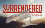 Surrendered Title Motion (157905)