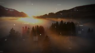 Surrendered Background 1