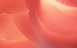 Flower of the Field : Loop 02 (157922)