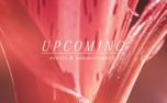 Flower of the Field : Upcoming (157925)