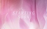 Flower of the Field : Starting (157926)