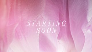 Flower of the Field : Starting
