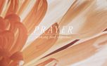 Flower of the Field : Prayer (157927)