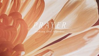 Flower of the Field : Prayer