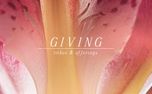 Flower of the Field : Giving (157931)