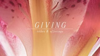 Flower of the Field : Giving