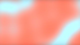 Shark - Motion Loop