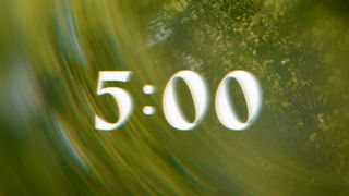 Like A Tree : Countdown