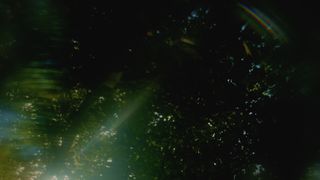 Like A Tree : Loop 08