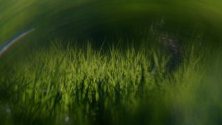 Like A Tree : Loop 02