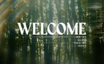 Like A Tree : Welcome (158433)