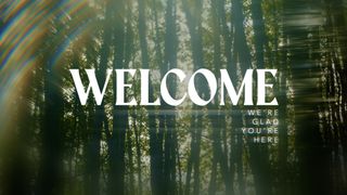 Like A Tree : Welcome