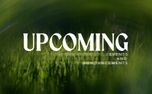 Like A Tree : Upcoming (158434)