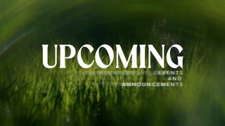Like A Tree : Upcoming