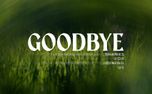 Like A Tree : Goodbye (158436)