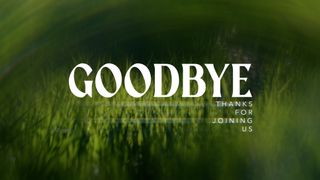 Like A Tree : Goodbye