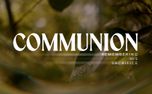 Like A Tree : Communion (158440)