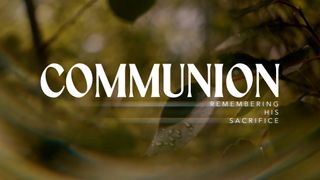 Like A Tree : Communion