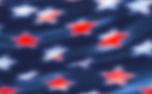 Independence Day Slides (158720)