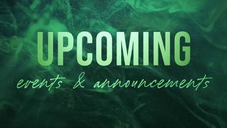 Liquid Haze Upcoming Events