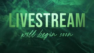 Liquid Haze Livestream