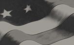 Flag_Of_Freedom_Loop_07 (158799)