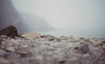 Mendocino CA Nature Loop  (158835)
