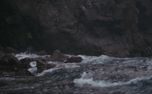 Mendocino CA Nature Loop  (158841)