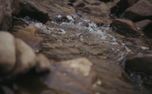 Mendocino CA Nature Loop  (158844)