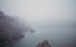Mendocino CA Nature Loop  (158847)