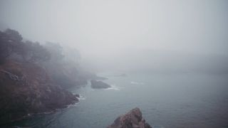 Mendocino CA Nature Loop 