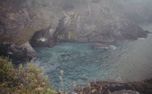 Mendocino CA Nature Loop  (158848)