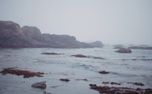 Mendocino CA Nature Loop  (158849)