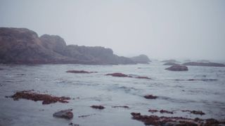 Mendocino CA Nature Loop 