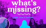 What's Missing? Small Groups (158944)