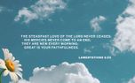 His Mercies = New (159138)