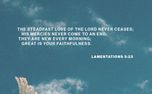 His Mercies = New (159143)