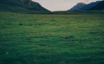 Good Shepherd Series Graphics (159281)